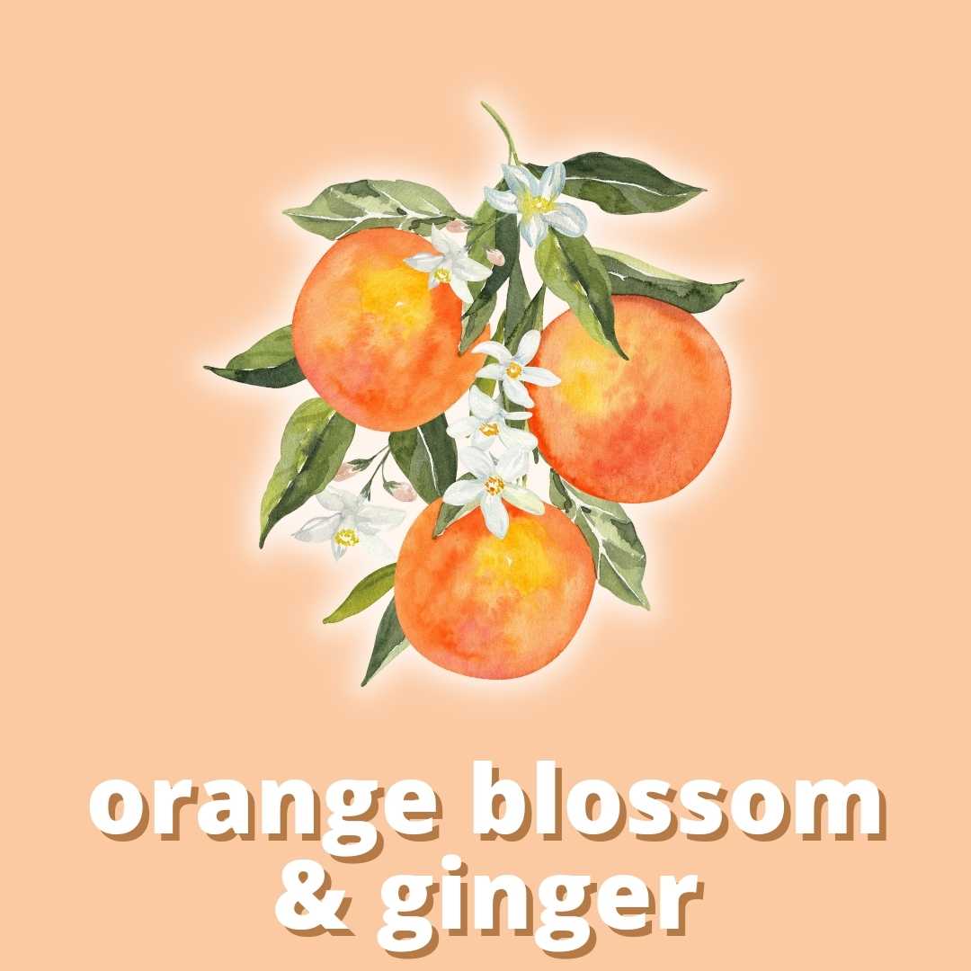 Orange Blossom & Ginger Duftstoff