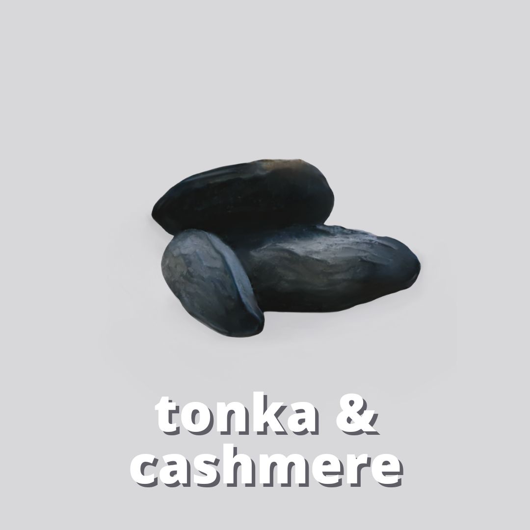 Tonka & Cashmere Duftstoff für Kerzen