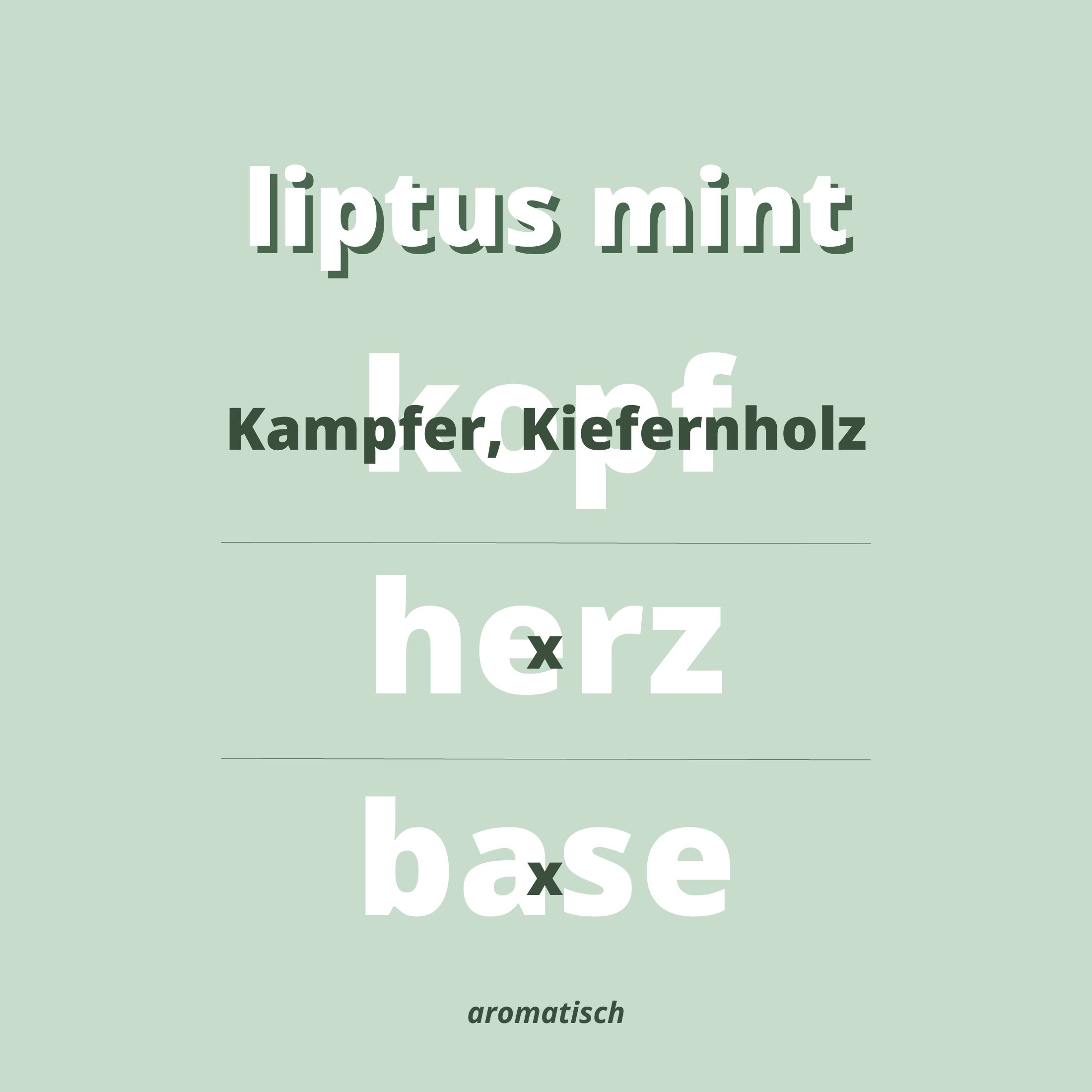 Duftnoten Liptus Mint