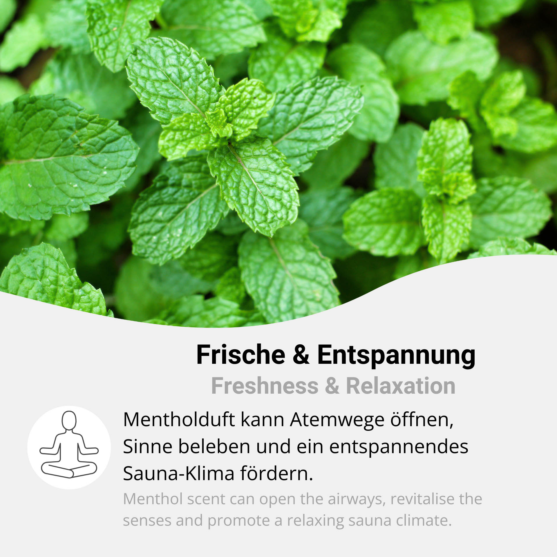 Mentholkristalle aus 100% Minzöl