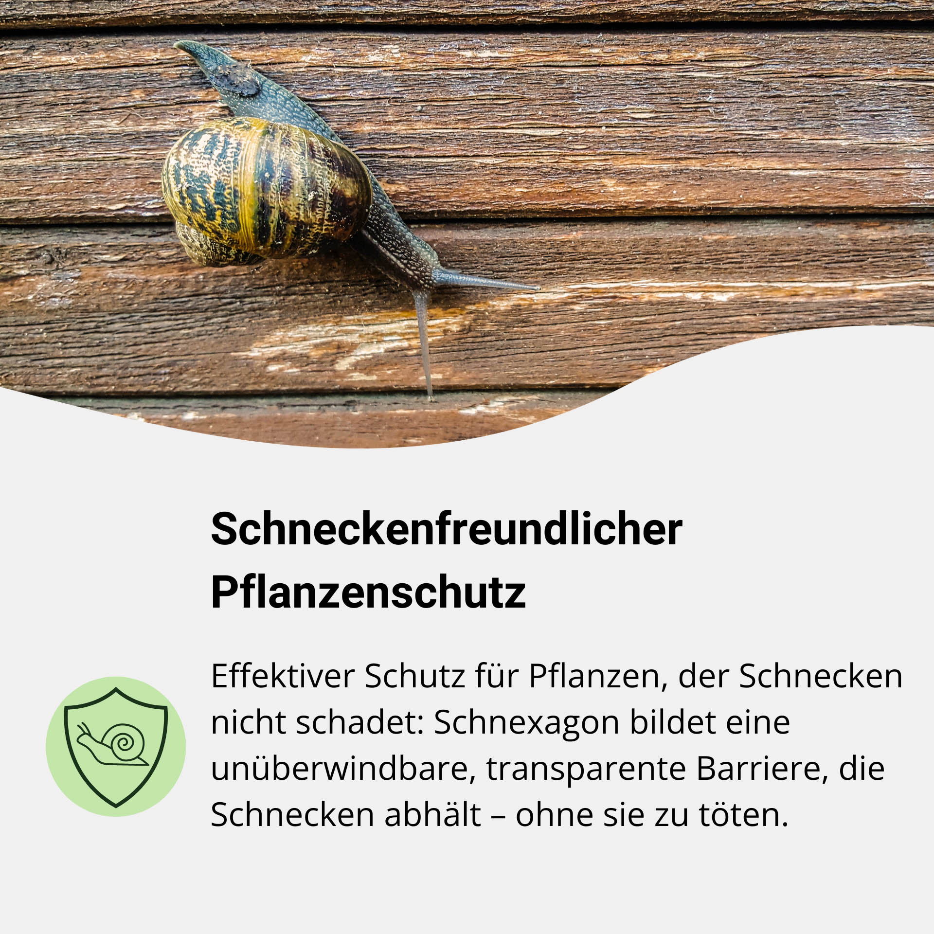 Schneckenschutz Schnexagon 375 ml
